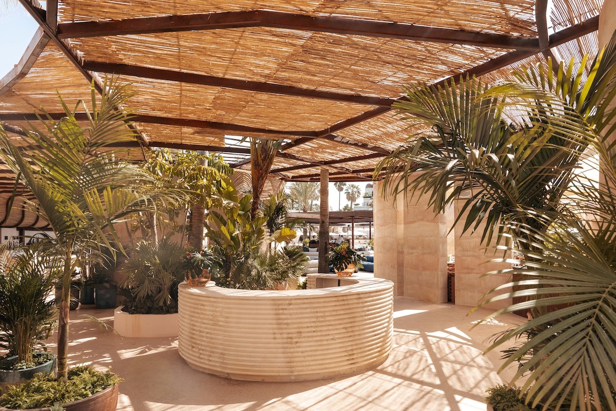 OCEAN CLUB 6